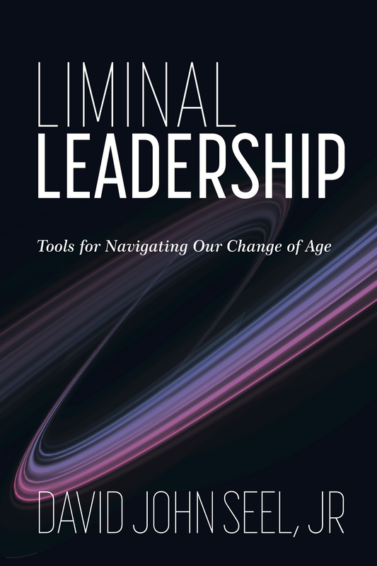 Liminal Leadership book cover by David John Seel Jr on leadership in times of uncertainty